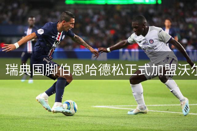 瑞典国脚伯恩哈德松正式加盟沃尔夫斯堡